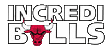 Chicago Bulls 2001-Pres Misc Logo iron on paper